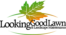 Looking Good Lawn & Landscape Maintenance | St. Cloud Area Lawn Care Services